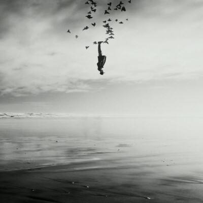 彩8官网入口·官方网站