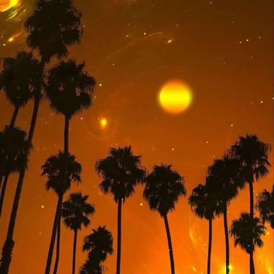 云开平台app最新版