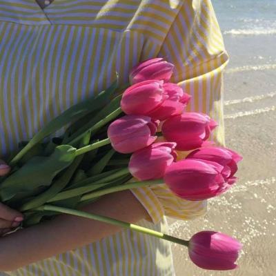 pg娱乐电子游戏官网手机app下载