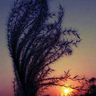 尊龙ag旗舰厅登录